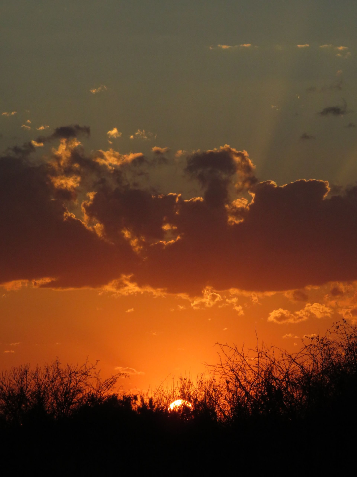 African sunrise glowing over the bush